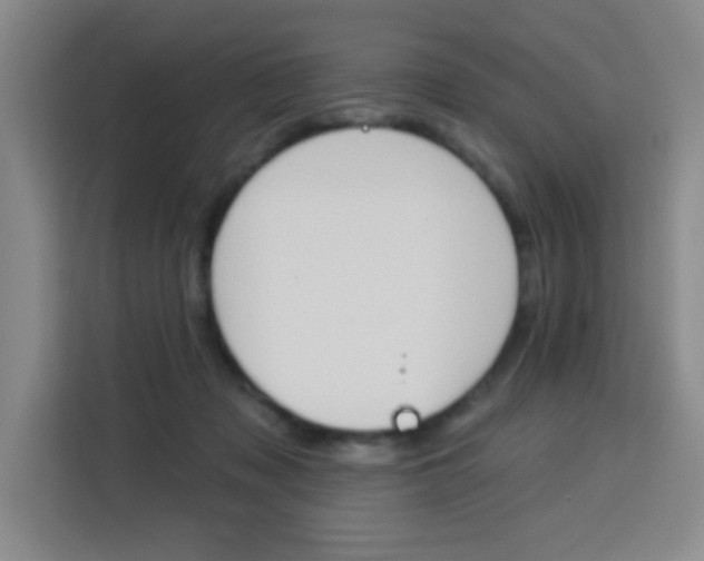 X0000113740317200909301016