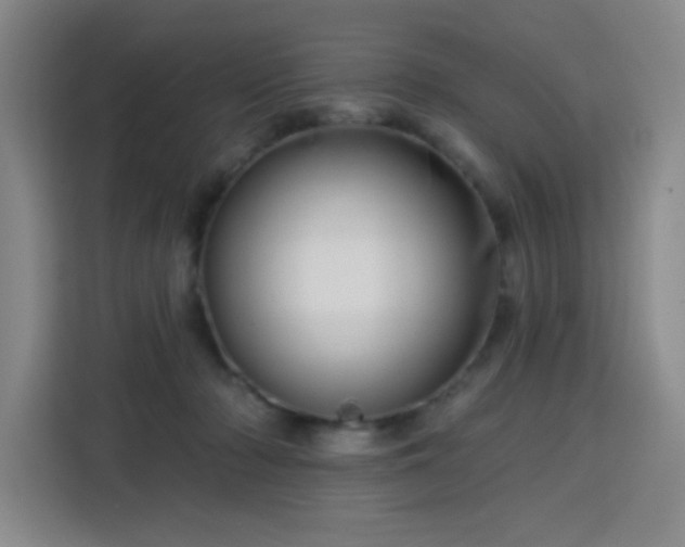 X0000113740318200909301016