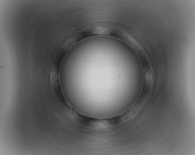 X0000113740322200909301016