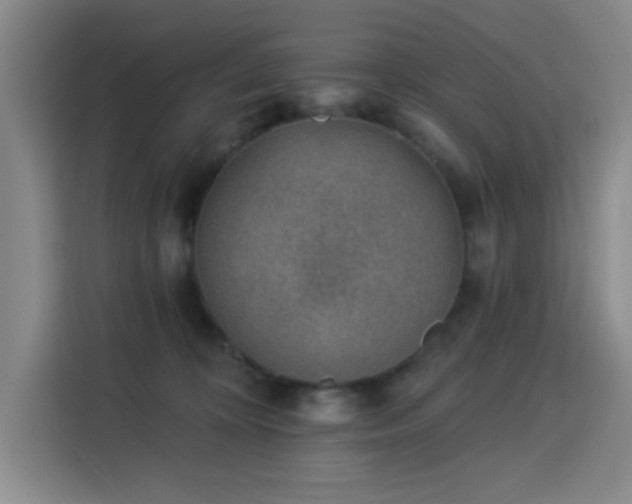 X0000113740324200909301016