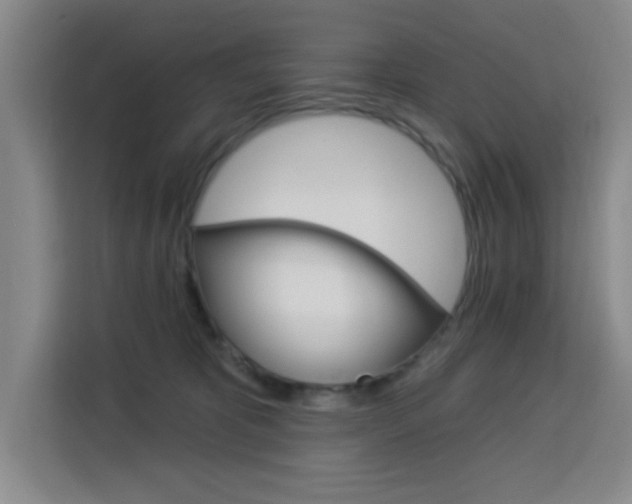 X0000113740325200909301016