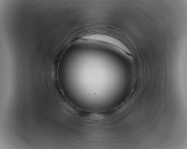 X0000113740328200909301016