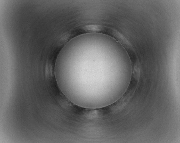 X0000113740330200909301016