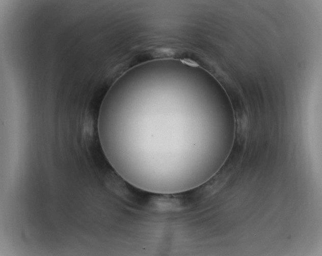 X0000113740331200909301016