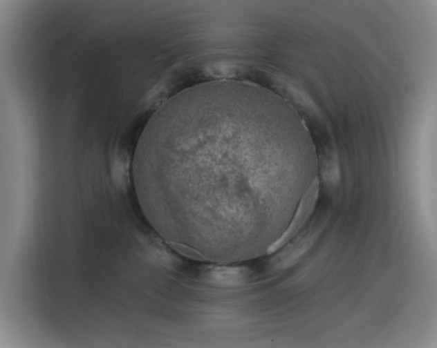 X0000113740332200909301016