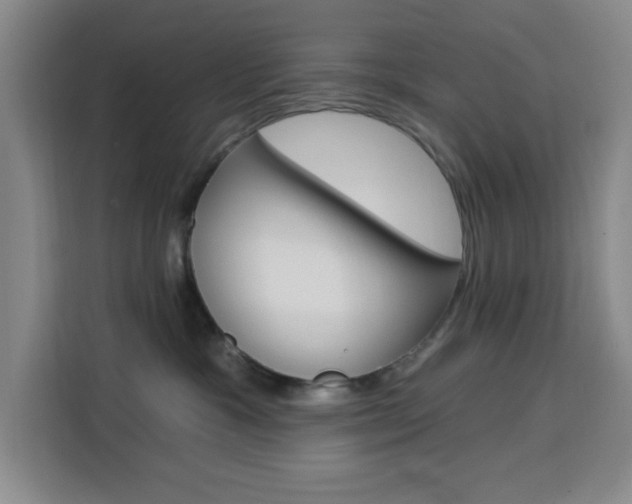 X0000113740333200909301016