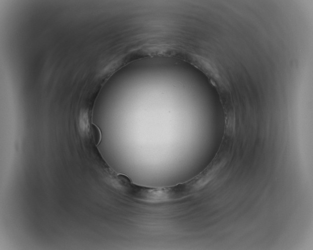 X0000113740335200909301016