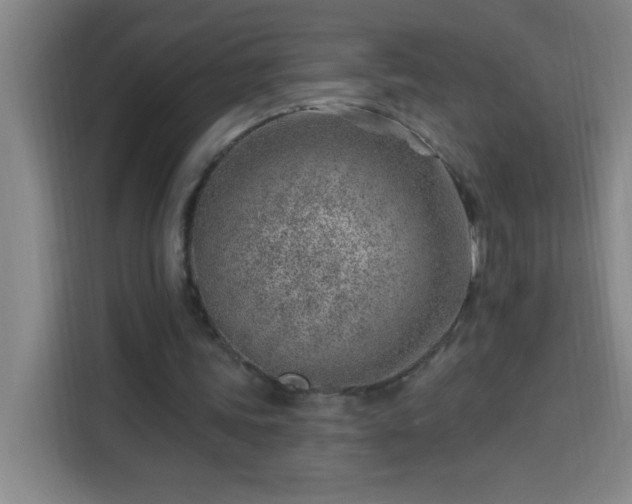 X0000113740339200909301016