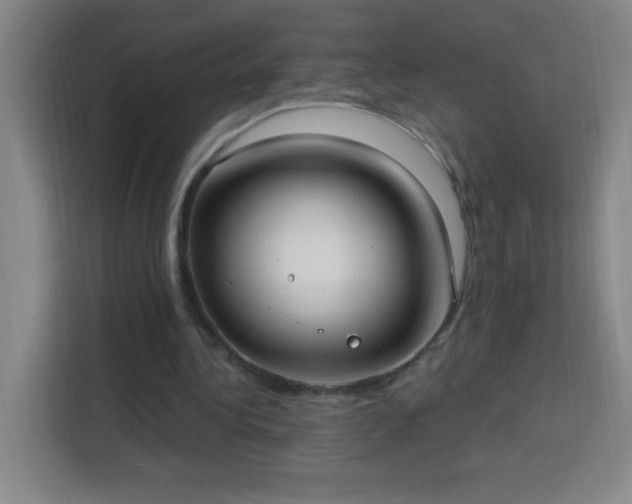 X0000113740340200909301016