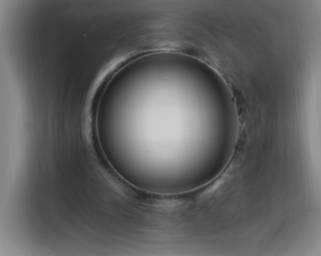 X0000113740342200909301016