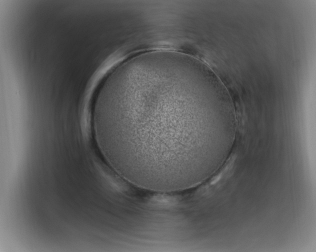 X0000113740343200909301016