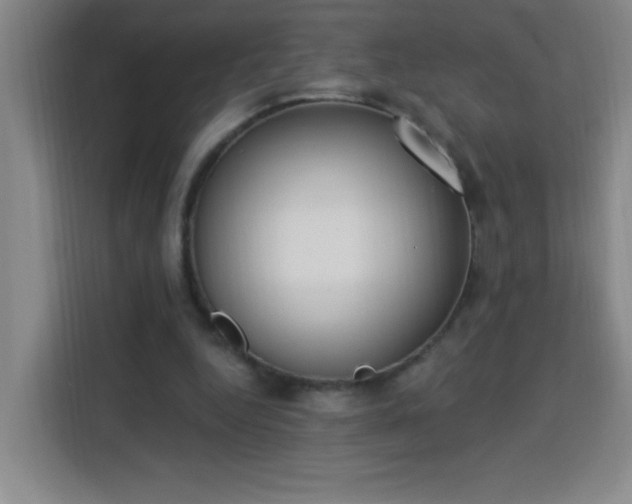 X0000113740344200909301016