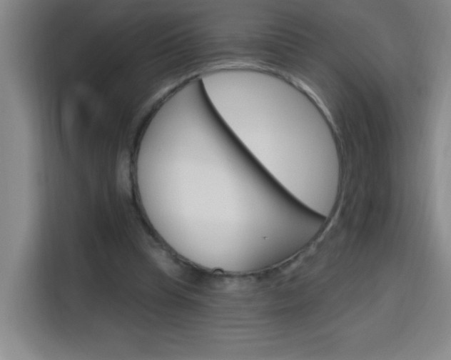 X0000113740345200909301016