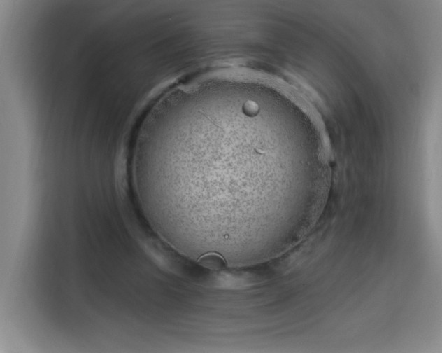 X0000113740346200909301016