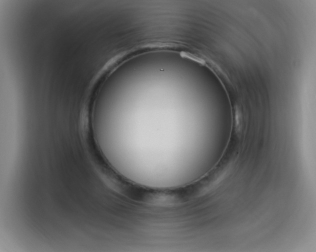 X0000113740348200909301016