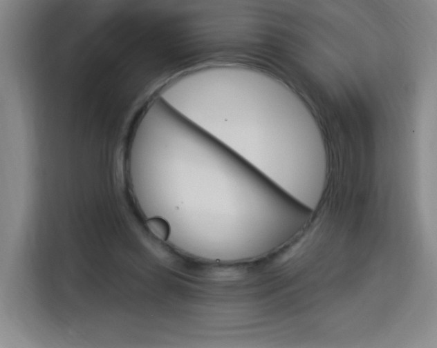 X0000113740349200909301016