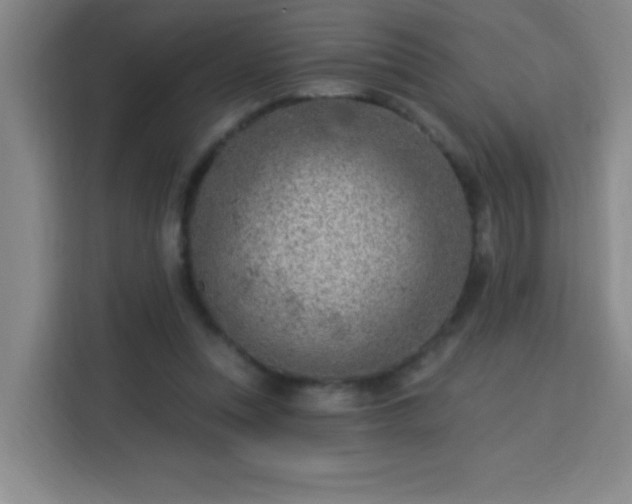 X0000113740351200909301016