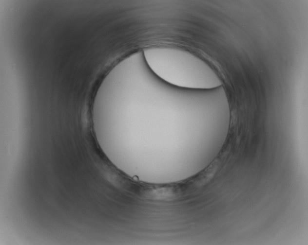 X0000113740353200909301016