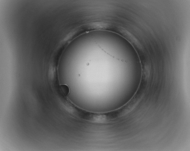 X0000113740355200909301016