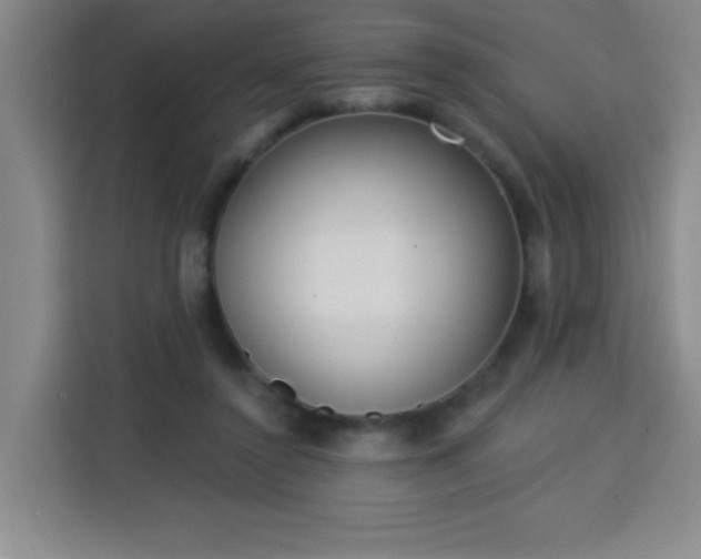 X0000113740356200909301016