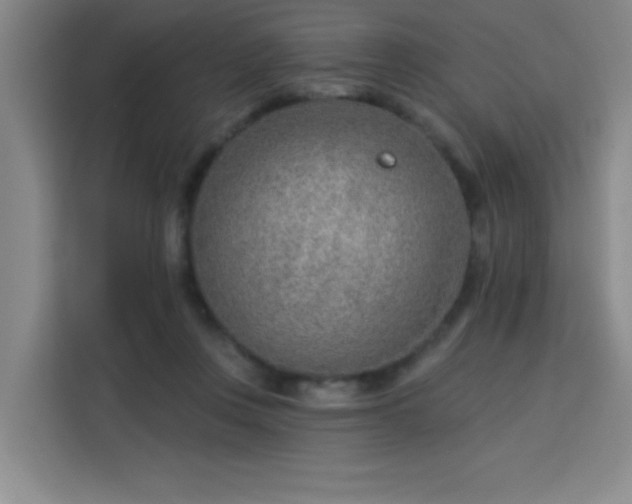 X0000113740359200909301016