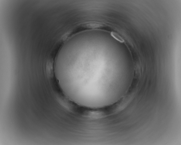 X0000113740360200909301016