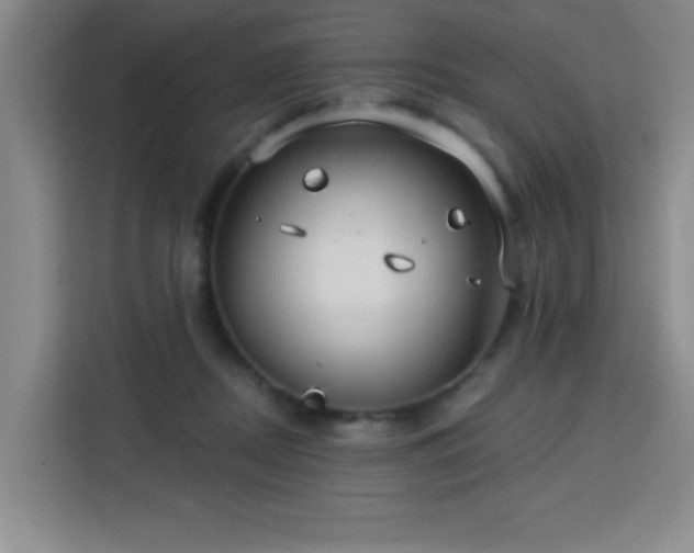 X0000113740362200909301016