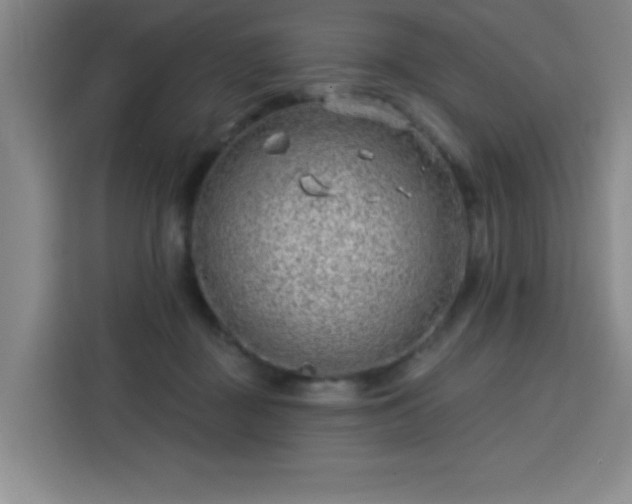 X0000113740363200909301016