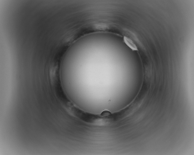 X0000113740364200909301016