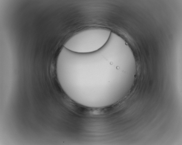 X0000113740365200909301016