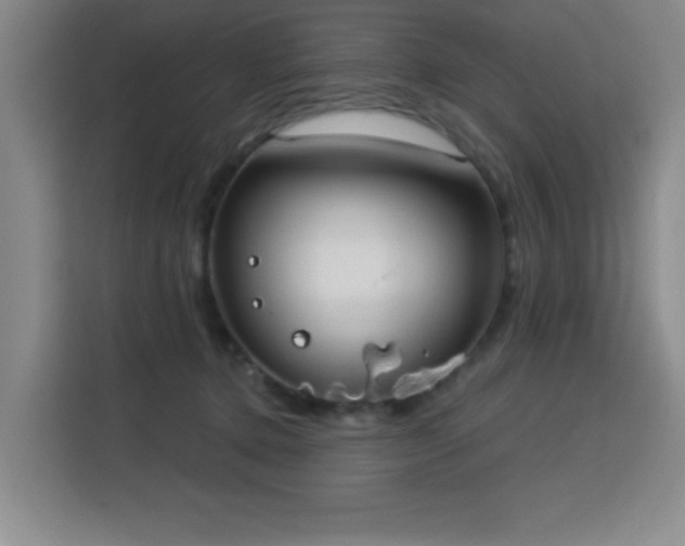 X0000113740368200909301016