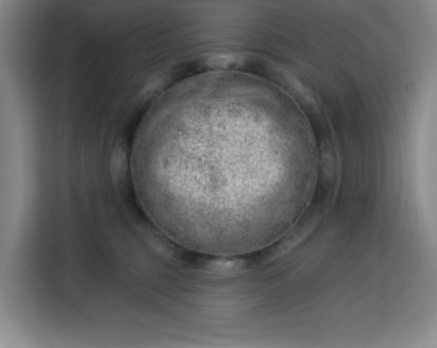 X0000113740375200909301016