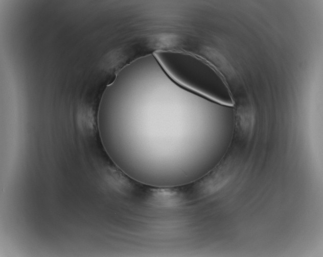 X0000113740380200909301016