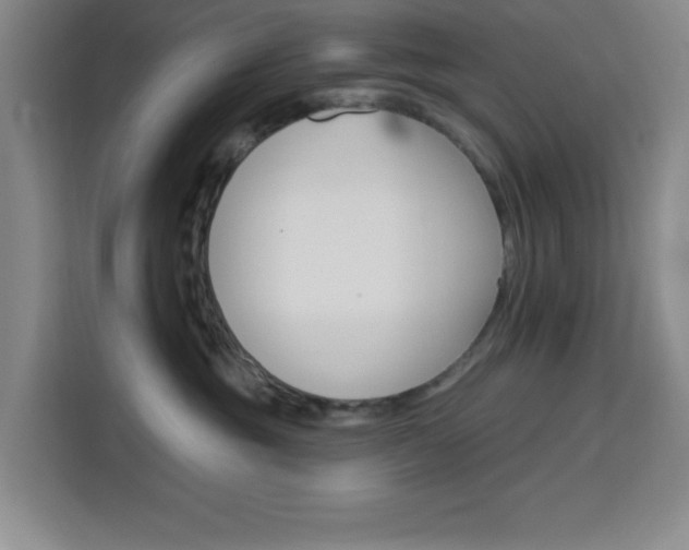 X0000113740381200909301016