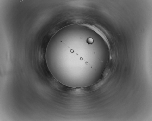 X0000113740382200909301016