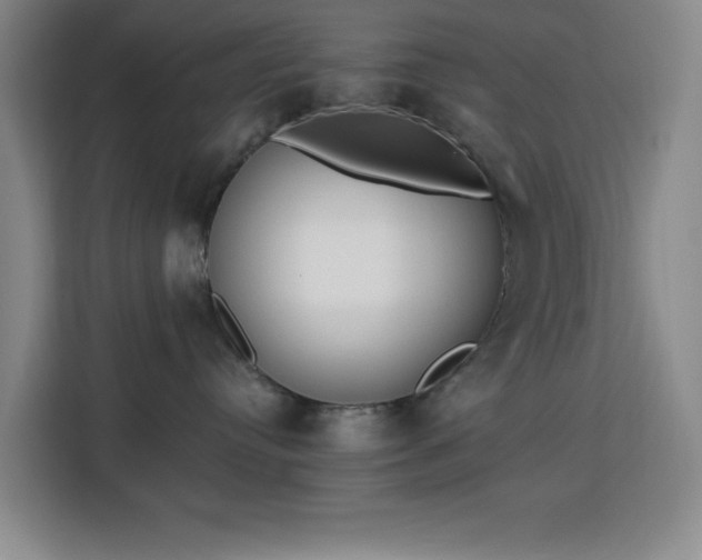 X0000113740384200909301016