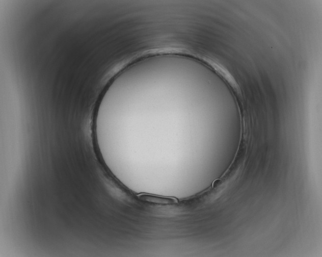 X0000113740389200909301015