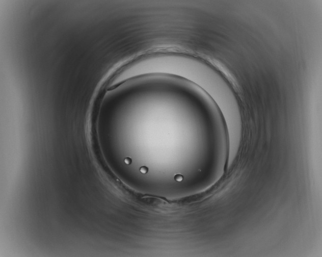 X0000113740391200909301015