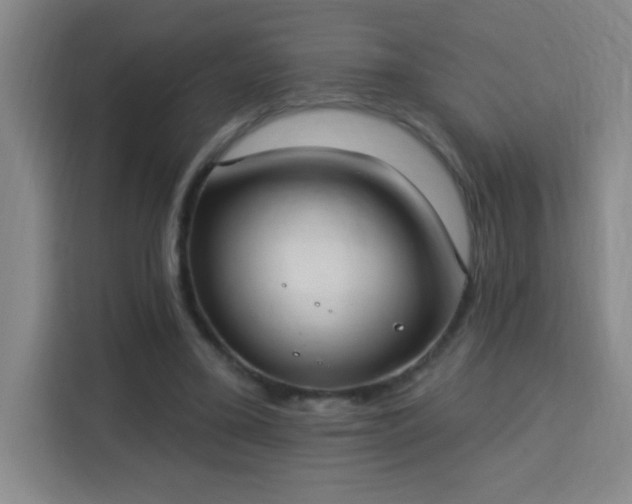 X0000113740395200909301015