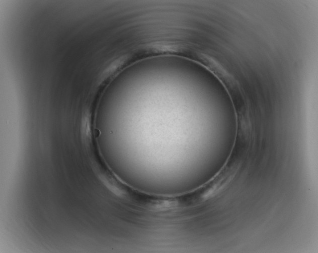 X0000113740398200909301015