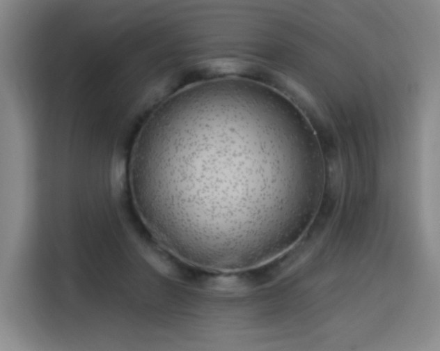 X0000113740406200909301015