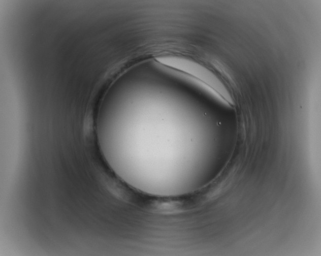 X0000113740407200909301015