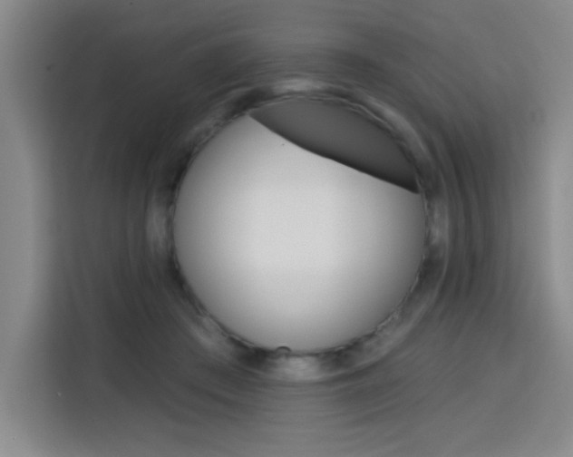 X0000113740409200909301015