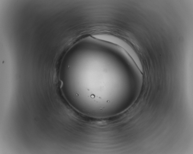 X0000113740411200909301015