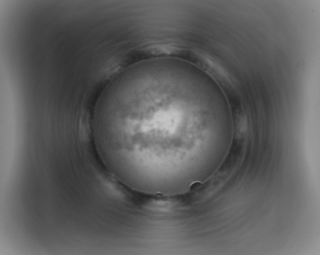 X0000113740414200909301015