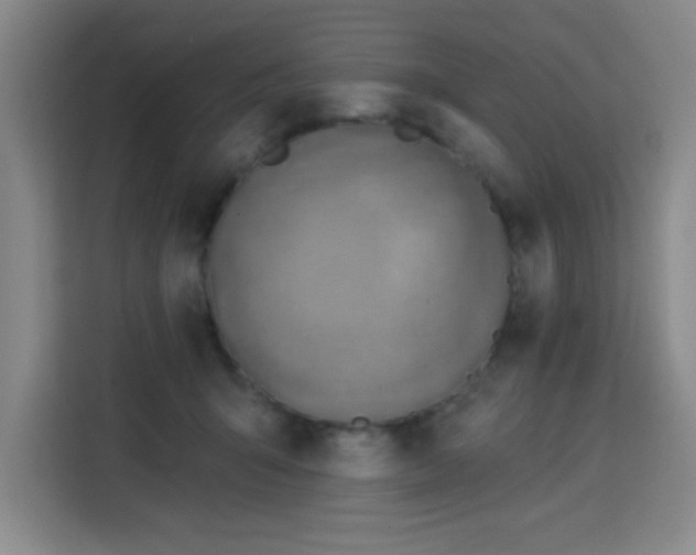 X0000113740415200909301015