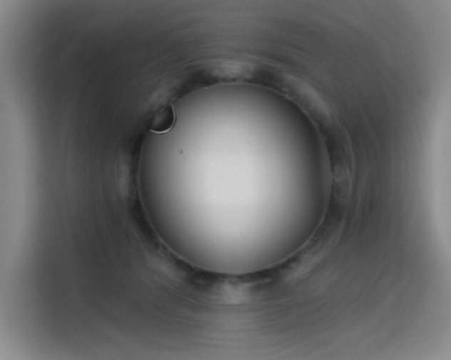 X0000113740416200909301015