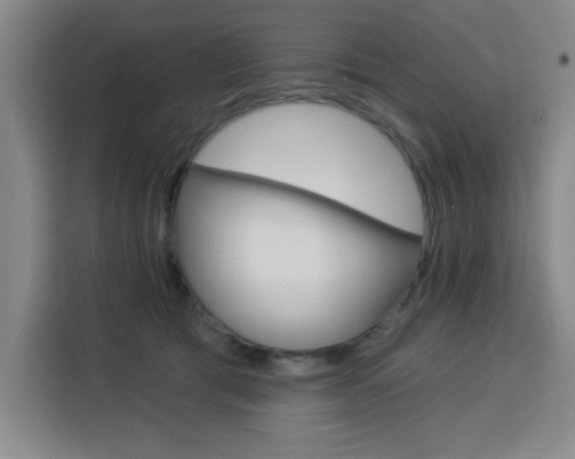 X0000113740417200909301015