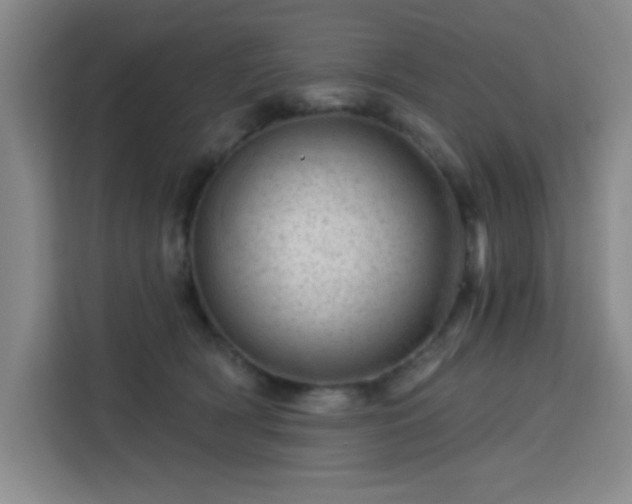 X0000113740418200909301015