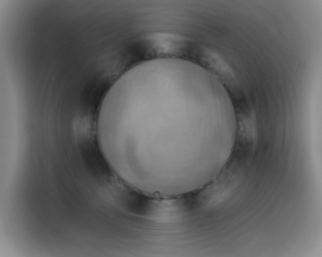 X0000113740419200909301015